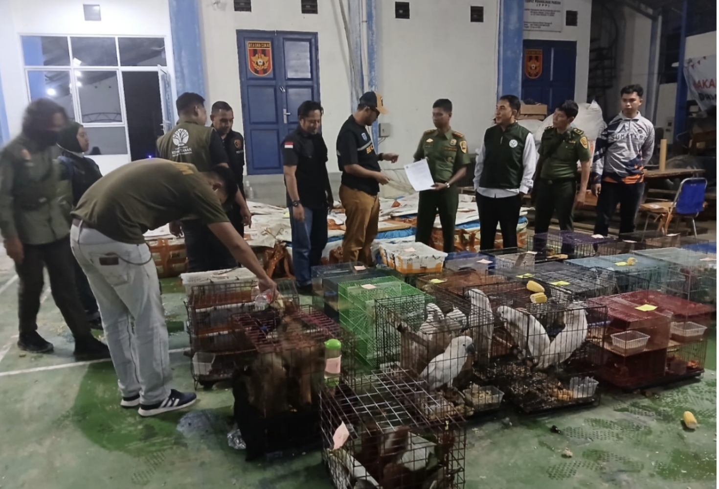 Gakkumhut Tetapkan Tersangka Penyelundupan Ratusan Satwa Liar Dilindungi Ke Thailand